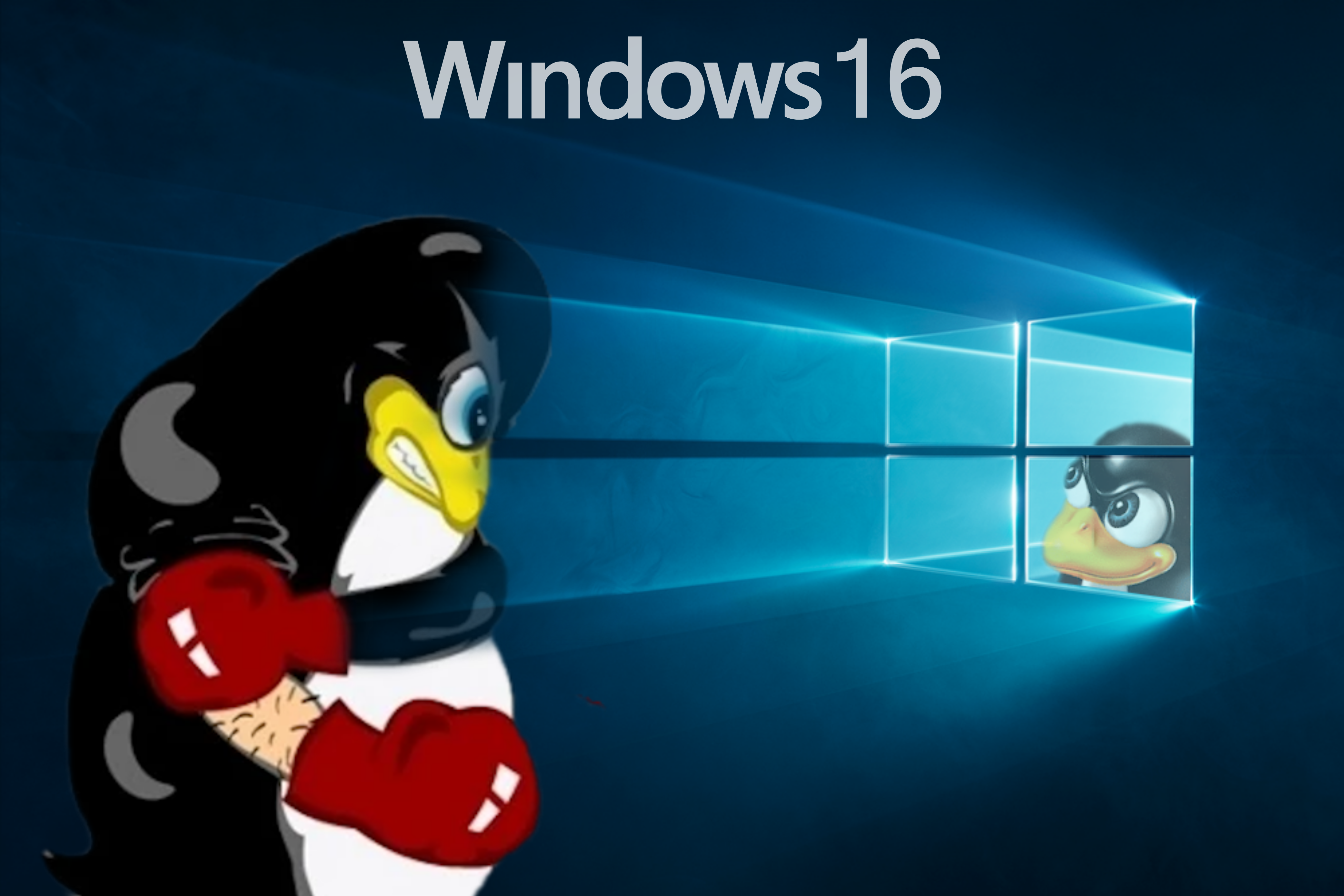 windows defeats linux